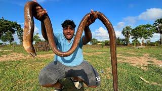 பாம்பு 65 செய்யலாம்|Snake 65 Making at Our Village|Snake Hunting And Cooking Chinese Method|VFS|Supu