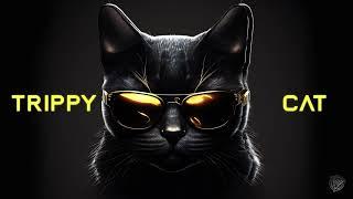 BLACK DARK MINIMAL TECHNO TRIPPY MIX 2025