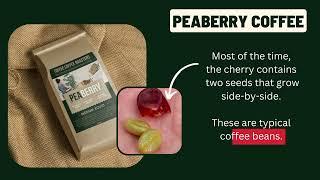 What is Peaberry Coffee? | Toffee Coffee Roasters