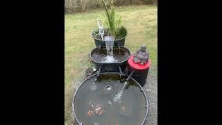 Rubbermaid Stock Tank Goldfish Pond. Bog and moving bed filter.