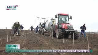 Premieră pentru sectorul vitivinicol din Moldova – AGRO TV – News