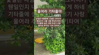 울어라 기타줄아  #손인호#트로트#1957손인호 대표곡