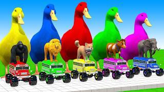 5 Giant Duck Cartoon, Cow, Elephant, Tiger, Dinosaur, Paint Wild Animals Crossing Fountain Animation