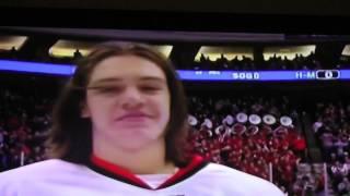 2015 Minnesota State High School All Hockey Hair Team