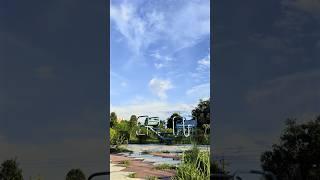Embrace Solitude: A Man's Serene Moments Alone in Nature (4K HDR) ‍️  #nature #naturetranquility
