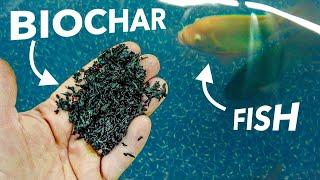 Beyond Biochar: An Aquaculture Filtration System That Revitalizes Farms