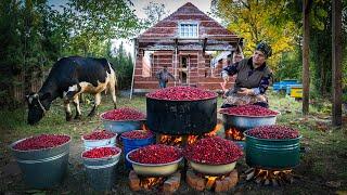 Preserving Flavor: Making Delicious Dogwood Paste