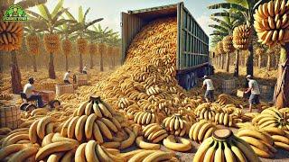 Bananas Mega Factory: Processing Millions of Bananas Using Modern Technology