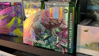 Bloomburrow Collector booster box battle 2 #MTG