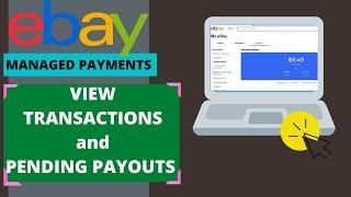 How To View Transactions, Fees, and Pending Payouts | eBay Managed Payments Video #2