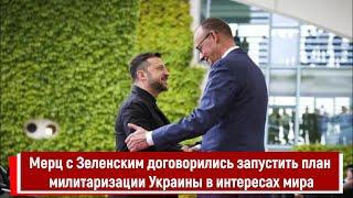Мерц с Зеленским договорились запустить план милитаризации Украины в интересах мира
