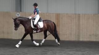 Dressage Training TV - Landing Lightly, The Dressage Seat - On The Bit