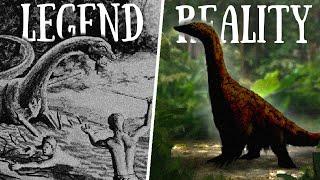 Two Creatures, One Legend: The Biology of the Mokele Mbembe