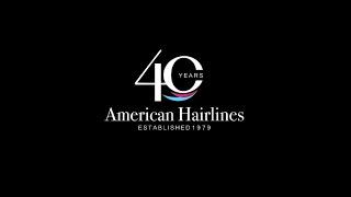 American Hairlines 40th Anniversary | Michael Napolitano