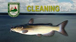 How to Clean a Catfish