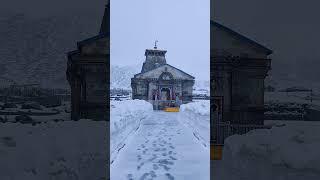 Kedarnath temple Darshan after fresh snowfall ️ #Shorts