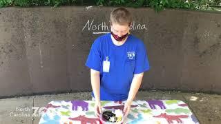 Wild About Nature: Worm Bin Maintenance