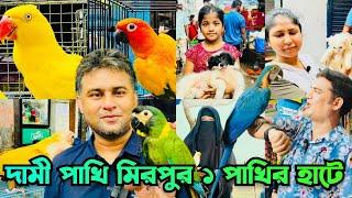 ম্যাকাও সহ দামী পাখি মিরপুর ১ পাখির হাটে | Mirpur 1 Pakhir Hat | Macaw Bird #viralvideo