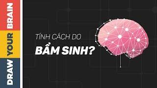 TÍNH CÁCH và TÂM LÝ có phải do BẨM SINH???