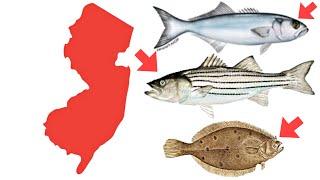 Why These Fish Are on the Move in New Jersey