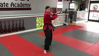 2nd Gup (Red Belt) - Blue Stripe - Reverse Punch Back Stance Basics