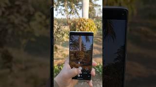 Google pixel 6 peo camera test / #photography #smartphone #googlepixel6pro #googlecamera