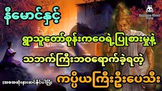 နီမောင်နှင့် ရွာသူတော်စုန်းကဝေရဲ့ပြုစားမှုနဲ့ သဘက်ကြီးဘဝရောက်ရတဲ့ကပ္ပိယကြီးဦးပေသီး (အစအဆုံး)