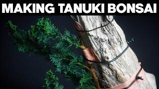 How To Make A Tanuki Bonsai🪴*EASY*