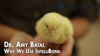 Why We Use IntelliBond | IntelliBond