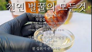 천연꿀의 효능,효과/무꿀즙,꿀마늘,꿀물 만들기/가짜꿀과 진짜꿀 구별법/꿀 보관 및 주의사항