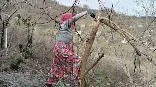 BEDDUA ETMİŞ‼️RABBİME HAVALE EDİYORUM / KÖY HAYATI