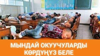 Топ5 ЭҢ КЫЗЫКТУУ ФАКТЫЛАР/КЫРГЫЗЧА