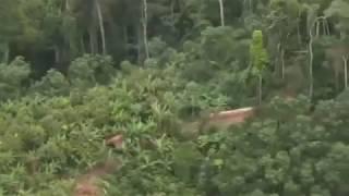 North Sentinel Island drone view (India)