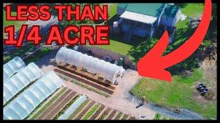 HOW I TURNED MY BACKYARD INTO A PROFITABLE VEGETABLE FARM!