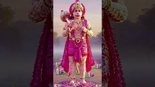 Anjani Maa ka lala