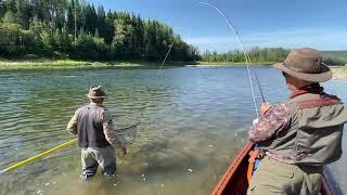 Fly Fishing for Large Salmon at Larry's Gulch