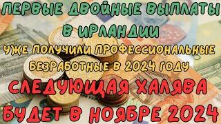 Важно Первые Двойные Выплаты в Ирландии, УЖЕ Получили Профессиональные Безработные в 2024 году