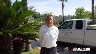 Termite Fumigation San Diego - License To Kill Termite & Pest Control