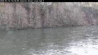 Cowlitz River Cam 1