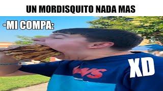 VIDEOS GRACIOSOS  SI TE RIES PIERDES  MOMENTOS XD 