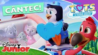  Livram familia | T.O.T.S. | Disney Junior România