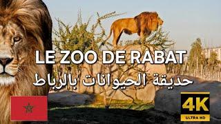 اكتشفو حديقة الحيوانات بالرباط  Explore Rabat’s Zoo