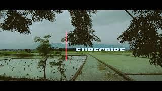 Cinematic Rice plantation |Ropai in nepal | Asar ropai | Mobile cinematics |Redmi Note8.