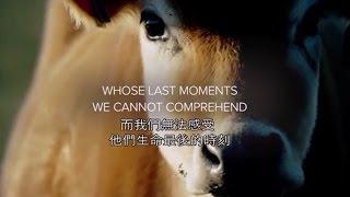 進化 ● 純素 ● 愛 | Choose Compassion. Go Vegan.