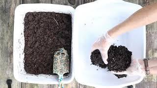 How to harvest & store worm castings on a small scale ~ Easy, method of  harvesting worm castings ~