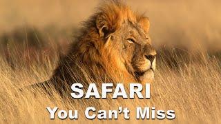 5 Best Safari Destinations in Africa You Can't Miss