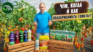 Чем, когда и как подкармливать томаты? Схема подкормок томатов. "DTK"