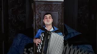 Когда душа жаждет драмы #баян #заринск #buttonaccordion