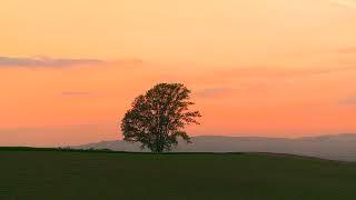 Relaxing Music 2 Hours〜Calming Music〜My Relaxing Music Series ①