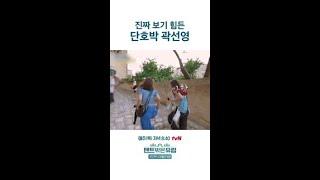 절대 타협하지 않는 곽선영 ㅋㅋㅋ #텐트밖은유럽로맨틱이탈리아